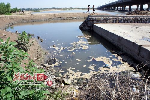 石家庄滹沱河15万平方米水面遭污水污染(图)