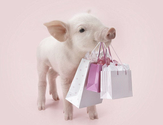 英快乐小猪爱拍照 或卖力锻炼或扮购物狂(组图)