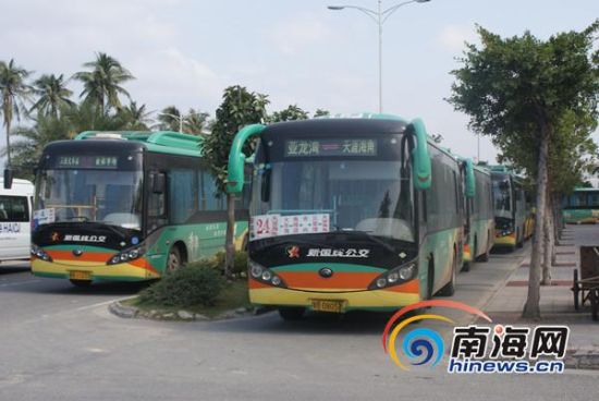 三亞近百輛公交車排隊加氣 市民出行受影響[圖]