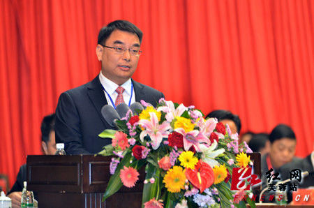 > 正文  芙蓉区委副书记,代区长于新凡作政府工作报告   红网芙蓉站11