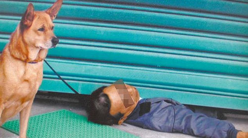疑被爱犬铁链绊倒台湾一男子遭铁门夹死图