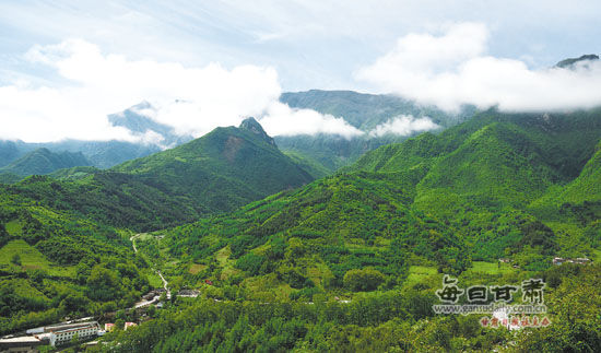 文县高楼山郁郁葱葱云雾缭绕图