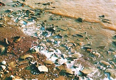 唐咀水下遗址巢湖水下古城沉睡千年图