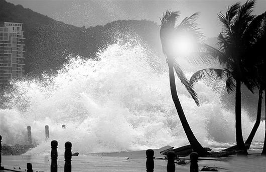 热带风暴第10集图片