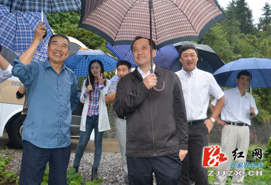 张家界市市长许显辉深入武陵源杨家界景区调研(图)
