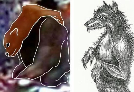 美国两州惊现狗头人身怪物目击者描述长尖耳巨齿图