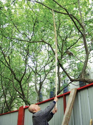 好市民竹竿撑电线40分钟保路通