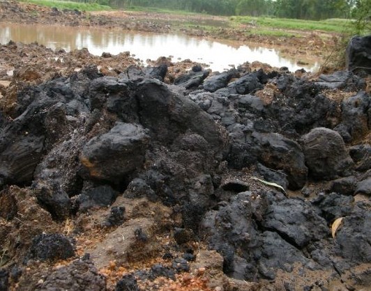 宜兴黄龙山文革紫泥用什么名字更好