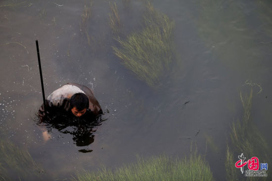 北京捞虫人:人均月入5千 捞虫卵制鱼饲料(组图)