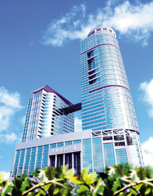 中国电信成为鹏城信息化主力军.