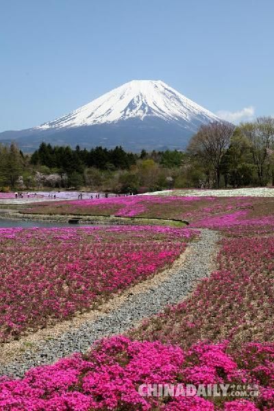 日本富士山.(圖片來源:新華社)