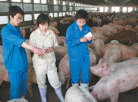 牧原养猪工人图片