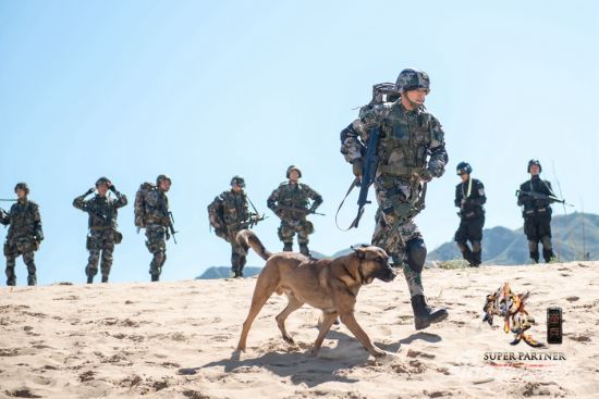 神犬奇兵步枪回家图片