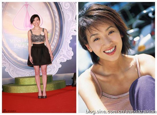 2013香港小姐20候选佳丽像哪些女星