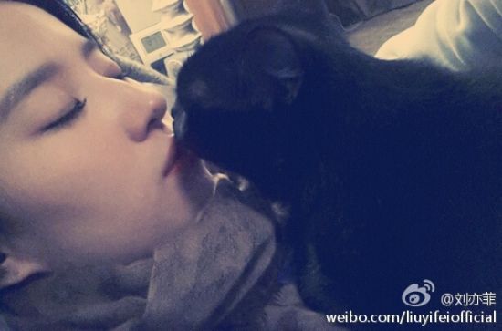 刘亦菲亲吻猫咪