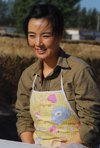 永远的田野 电视剧图片