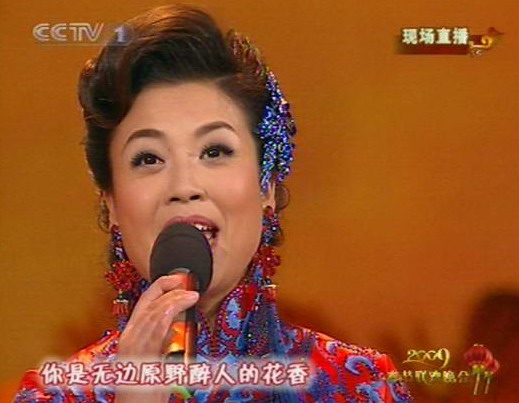 图文09年央视春节晚会张也演唱祖国颂