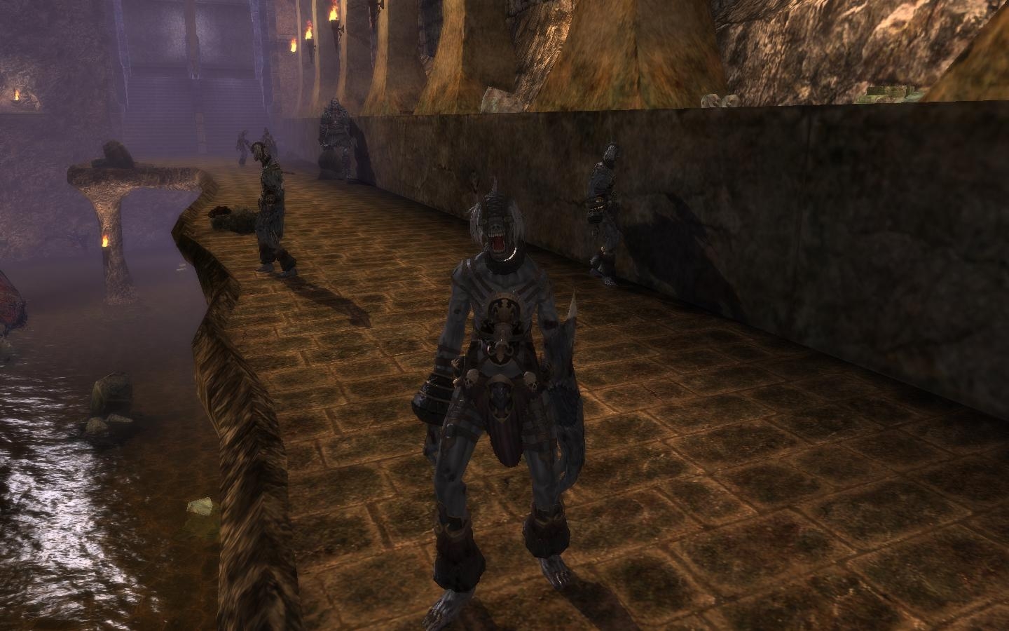 奇迹世界暗影序章黑暗浩劫图壹(59)