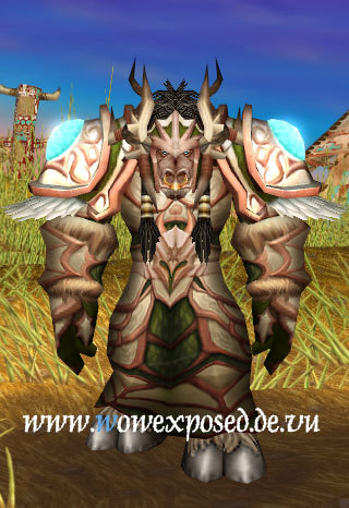 资料片t4套装试衣间德鲁伊