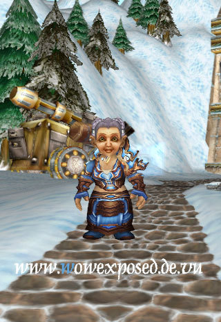 资料片t4套装试衣间法师