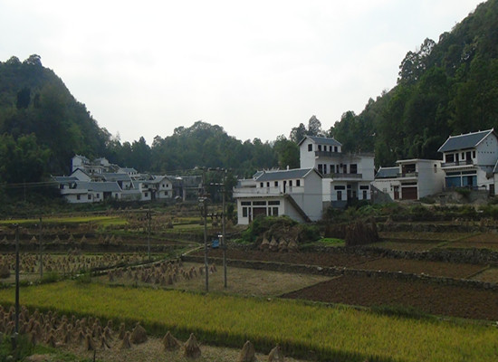 贞丰县长田乡145户农民迎乔迁之喜 搬家过新年