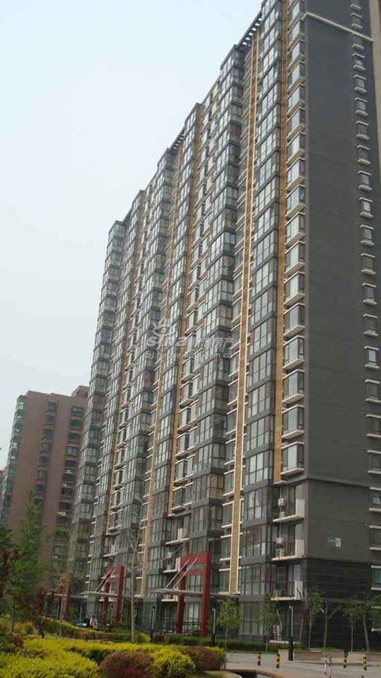 慧谷金色家园 实景图 项目外观