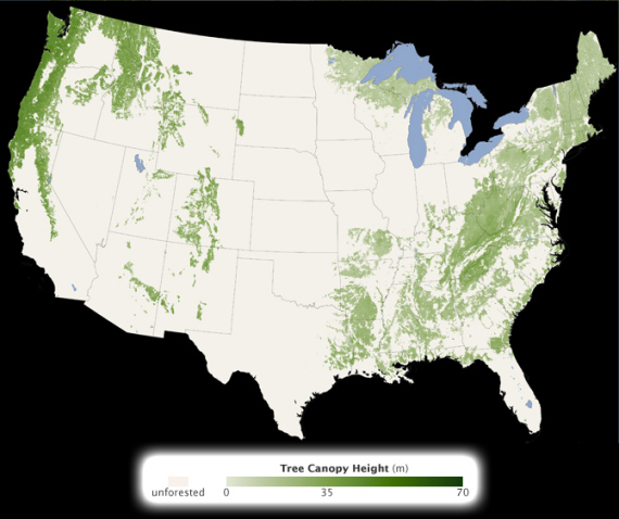 美国森林分布图高清图片