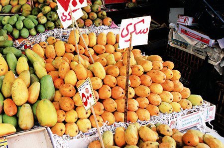 埃及特色水果