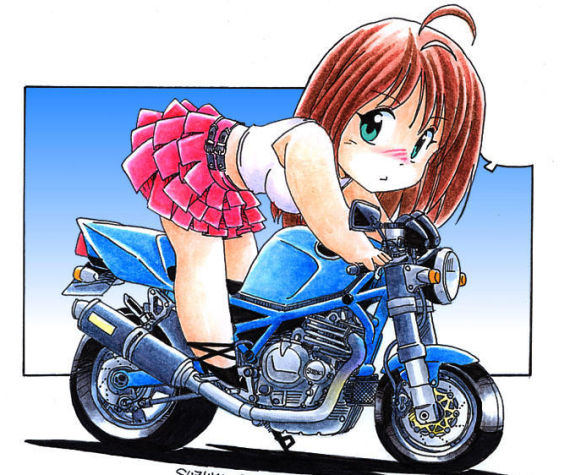 goose350 所使用的是dr350发动机改进版本,加大散热片,活塞采用与gsx