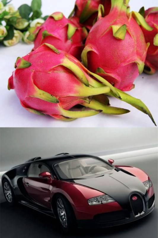 汽车世界里的水果爱情