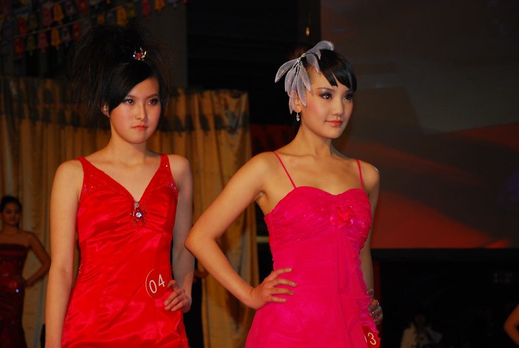 2008中国汽车模特大赛华北赛区决赛现场