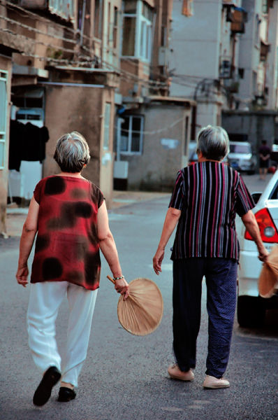 满头白发的老太太拿着蒲扇在树荫下乘凉,碎花褂子被风吹得时起时伏,让