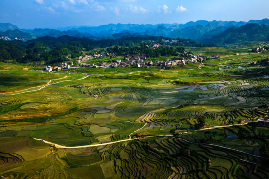 广西南丹县巴平梯田 别样的曲线美