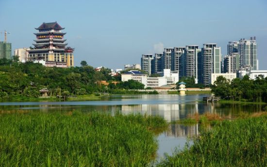 青秀湖公園水泥林裡的溼地休閒景觀