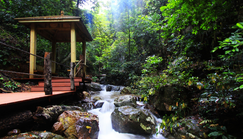 天然氧吧大余丫山游记