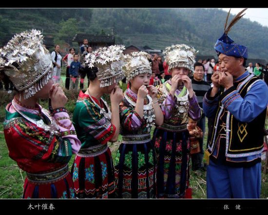 图为城步民族文化传承人杨光清和苗家阿妹们唱山歌吹木叶