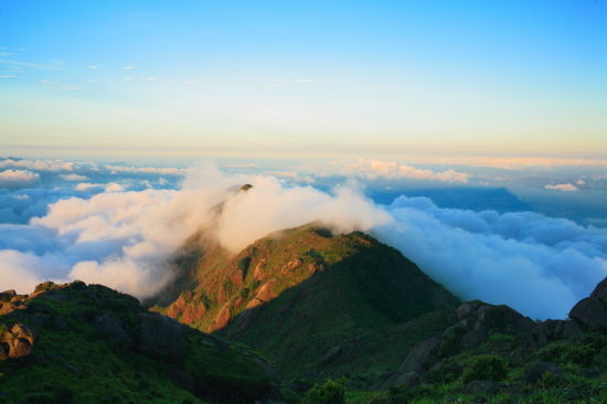 大華山雲海