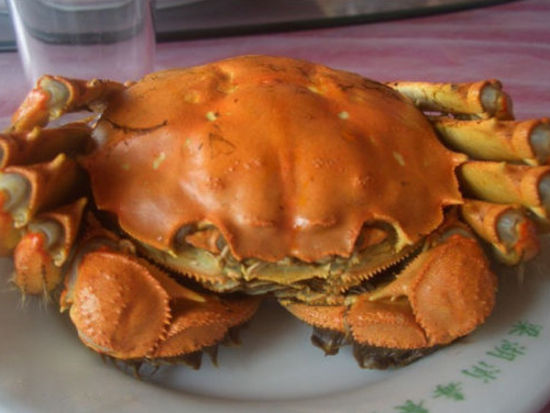 在太阳升起的时候便出发,迎着太阳前行,秋天的太阳不是太厉害,再加上