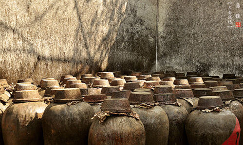 乌镇三白酒坊 深巷中的传统老酒坊(组图)