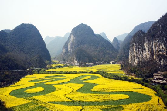 花花世界 安顺油菜花你要怎么玩