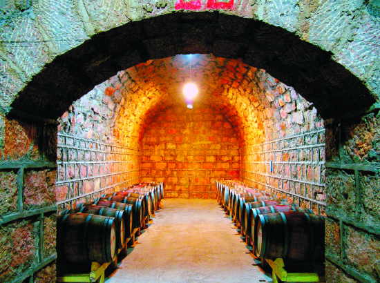 云南红酒庄地下酒窖