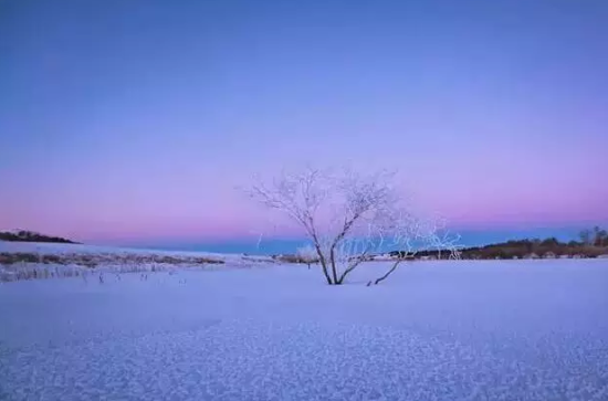 者,又或者是攝影極簡主義的愛好者,那麼雪景就是一份大禮,下雪的時候