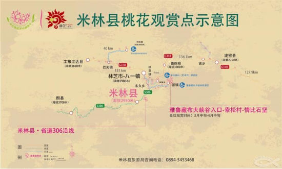 2016年林芝桃花节米林县分会场开幕式隆重举办