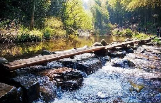 配圖餘姚芝林古道地處四明山北麓,道路兩旁山巒連綿,山岙彎彎,竹木