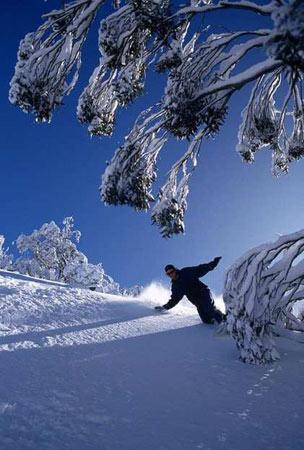 澳大利亚雪山滑雪图片