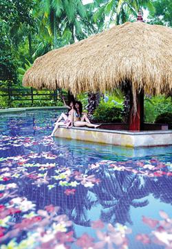 盘龙峡薰衣草温泉