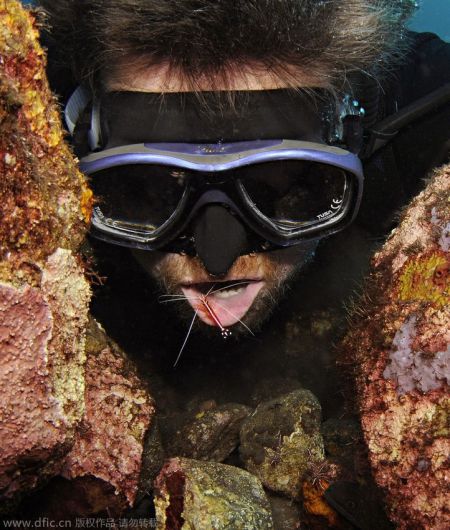 澳大利亚男子潜水与海底动物自拍走红