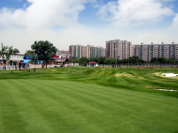 北京高尔夫球俱乐部图片