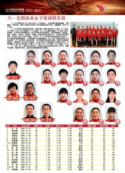 2008中国女排队员名单图片