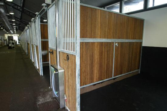 向媒体开放专为北京2008年奥运会马术比赛赛马修建的香港沙田马场马房